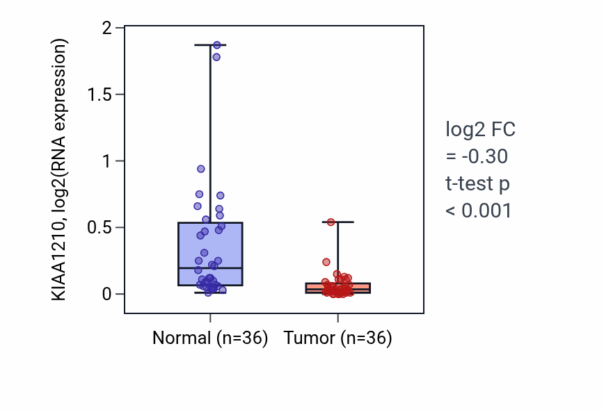 Tumor-vs-normal expression box plot for KIAA1210 in KIRC.