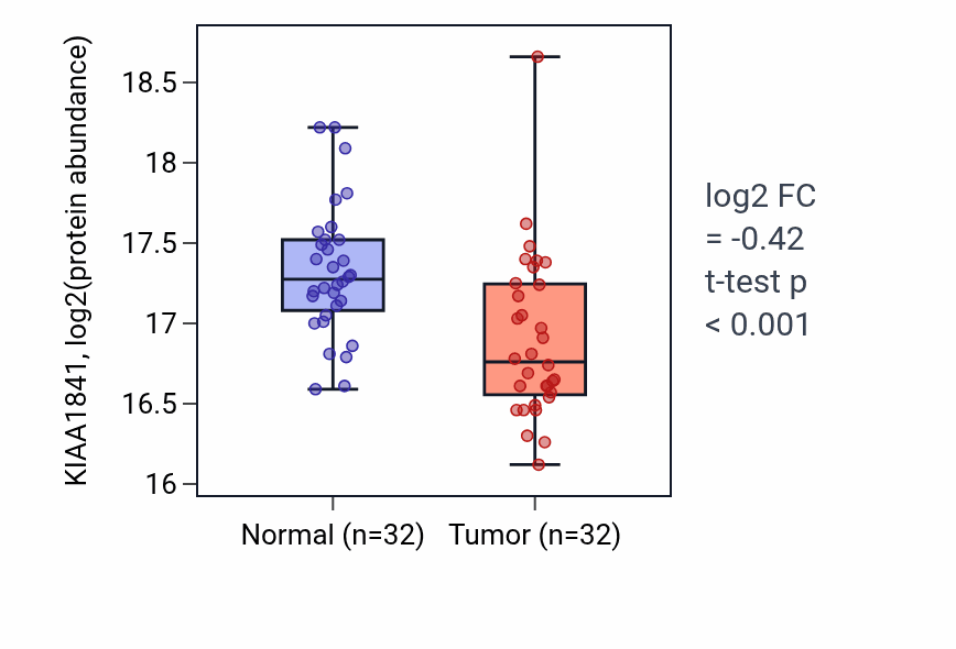 Tumor-vs-normal mass-spec protein box plot for KIAA1841 in LSCC.