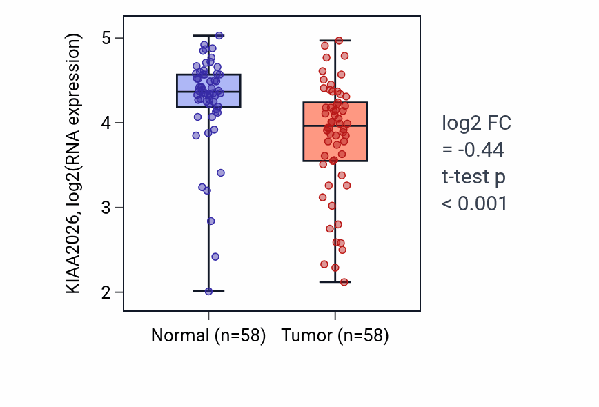Tumor-vs-normal expression box plot for KIAA2026 in THCA.