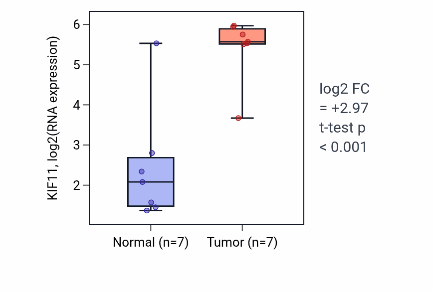 Tumor-vs-normal expression box plot for KIF11 in BLCA.
