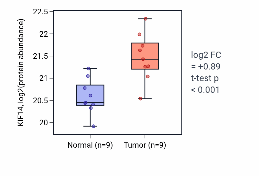 Tumor-vs-normal mass-spec protein box plot for KIF14 in LSCC.