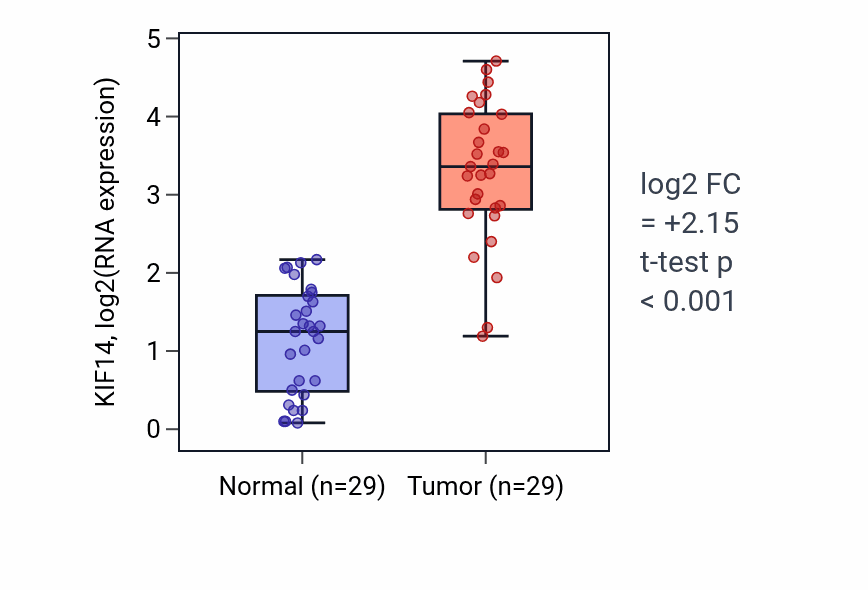 Tumor-vs-normal expression box plot for KIF14 RNA in HNSC.