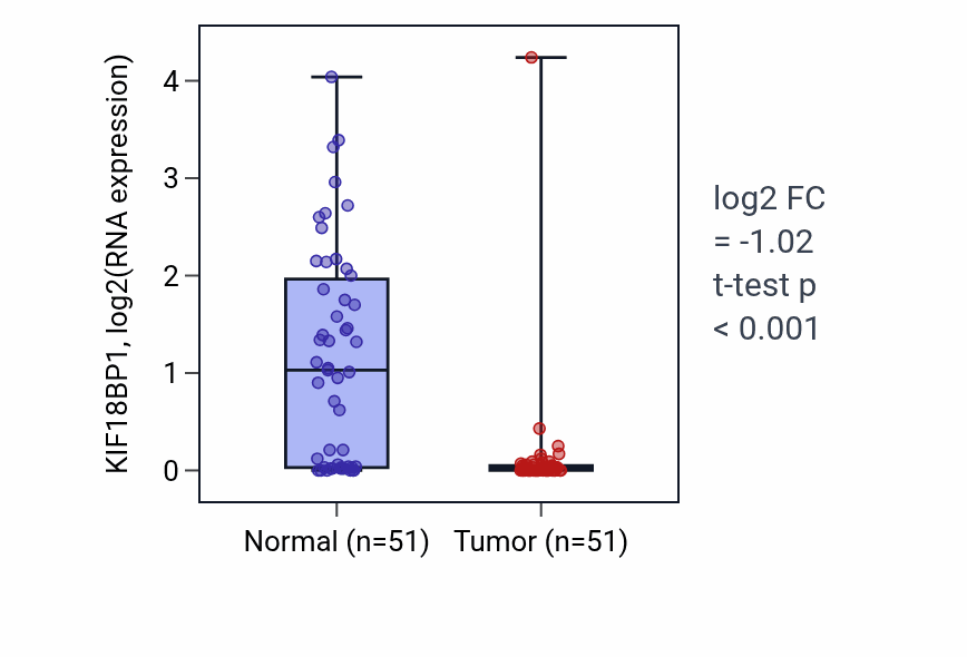 Tumor-vs-normal expression box plot for KIF18BP1 RNA in KIRC.