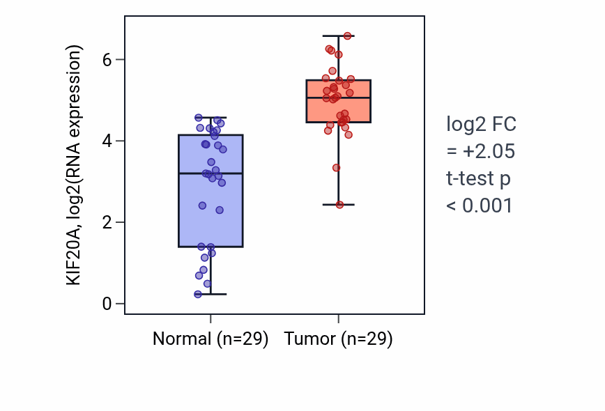 Tumor-vs-normal expression box plot for KIF20A in HNSC.