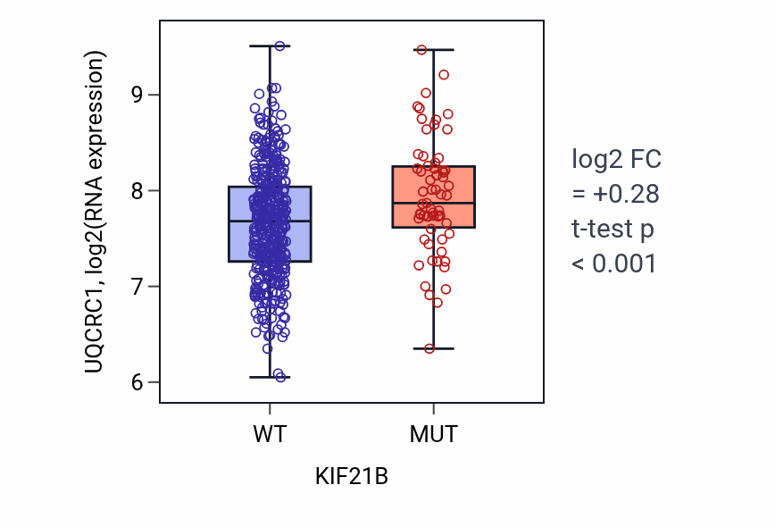 Box plot of UQCRC1 in KIF21B-low vs KIF21B-high samples in SKCM.