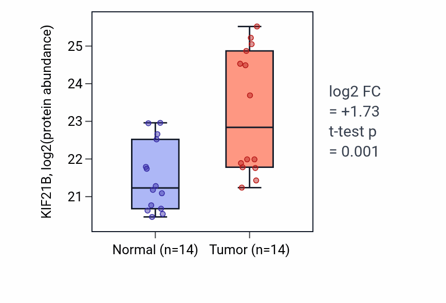 Tumor-vs-normal mass-spec protein box plot for KIF21B in PDAC.