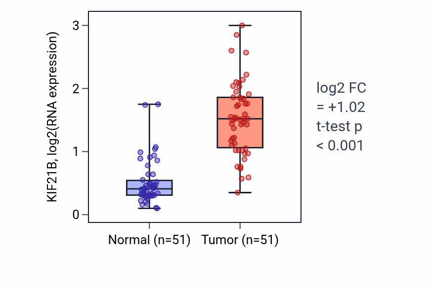 Tumor-vs-normal expression box plot for KIF21B RNA in KIRC.