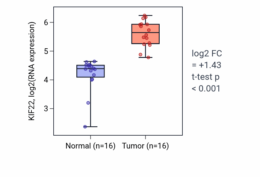 Tumor-vs-normal expression box plot for KIF22 in HNSC.