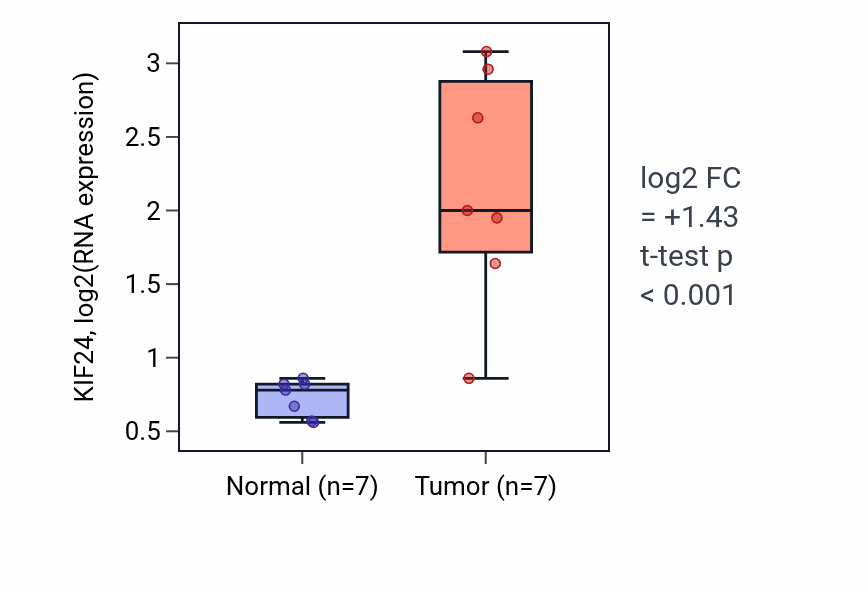 Tumor-vs-normal expression box plot for KIF24 in BLCA.
