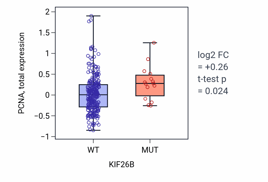 Box plot of PCNA in KIF26B-low vs KIF26B-high samples in STAD.