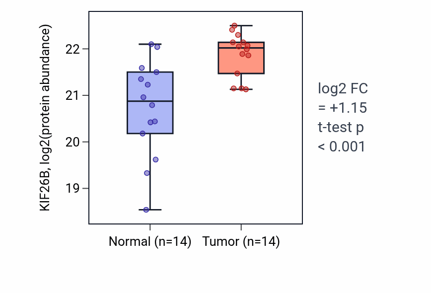 Tumor-vs-normal mass-spec protein box plot for KIF26B in HNSC.