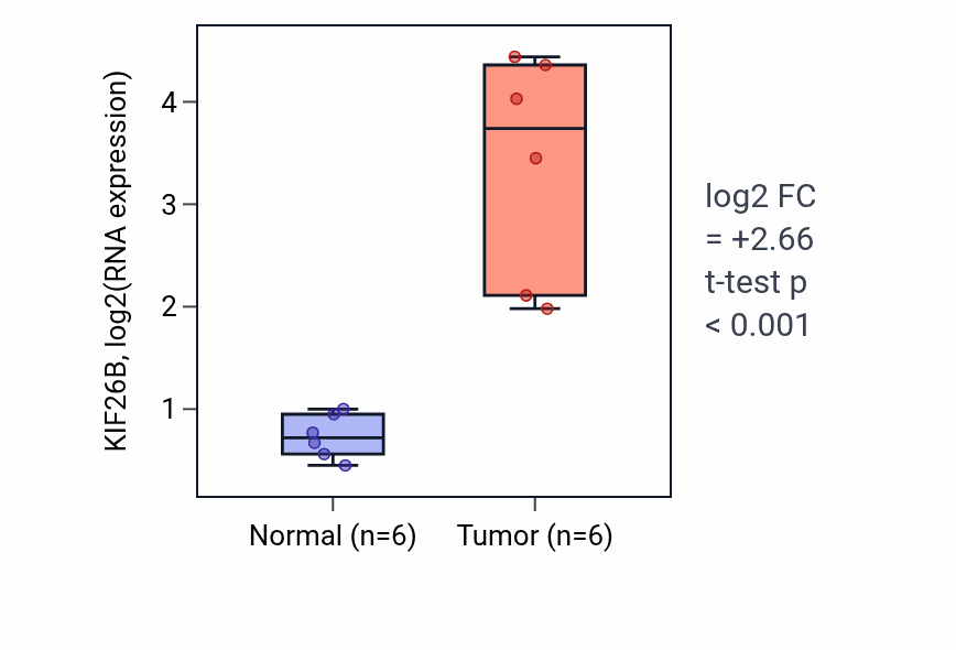 Tumor-vs-normal expression box plot for KIF26B RNA in HNSC.