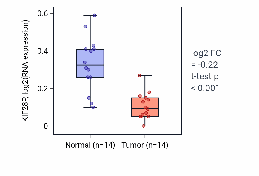 Tumor-vs-normal expression box plot for KIF28P in THCA.