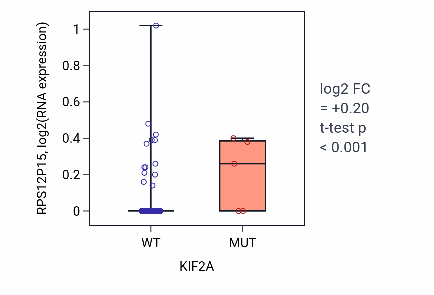 Box plot of RPS12P15 in KIF2A-low vs KIF2A-high samples in COAD.
