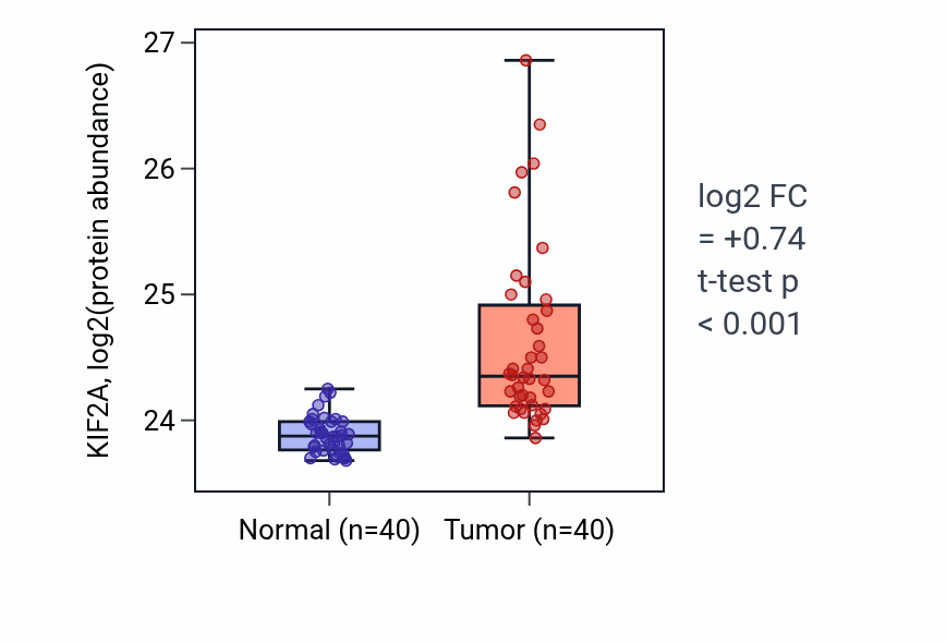 Tumor-vs-normal mass-spec protein box plot for KIF2A in CCRCC.