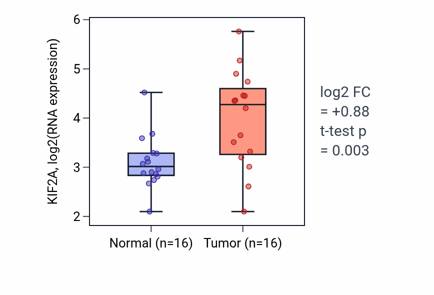 Tumor-vs-normal expression box plot for KIF2A RNA in KIRP.