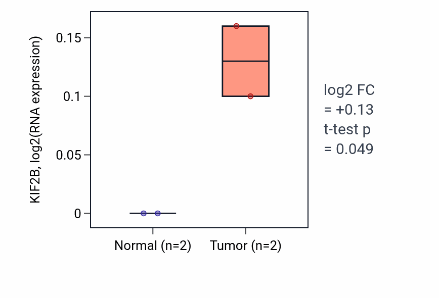 Tumor-vs-normal expression box plot for KIF2B in UCEC.