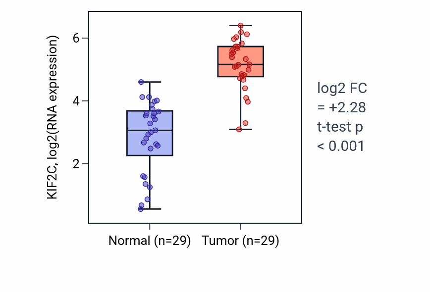 Tumor-vs-normal expression box plot for KIF2C in HNSC.