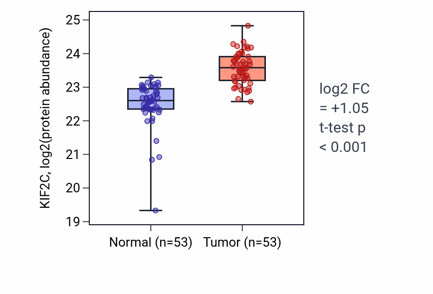 Tumor-vs-normal mass-spec protein box plot for KIF2C in HNSC.