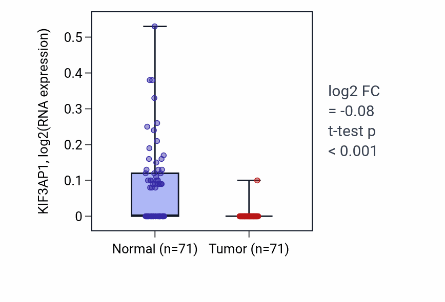 Tumor-vs-normal expression box plot for KIF3AP1 in KIRC.