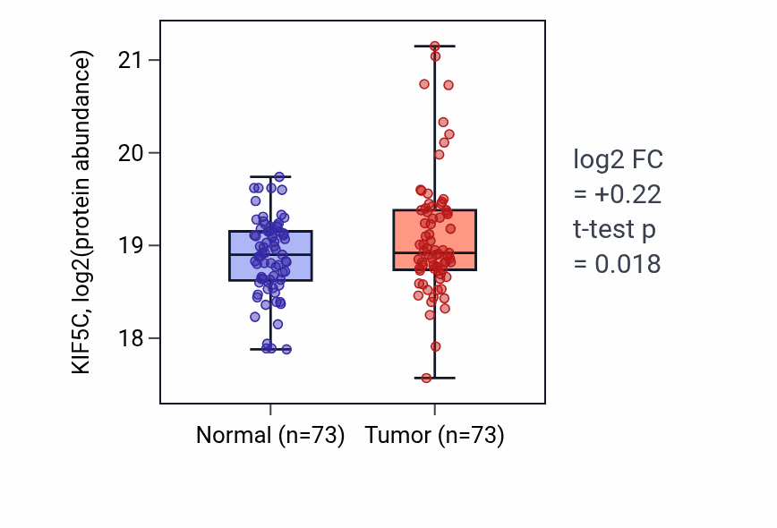 Tumor-vs-normal mass-spec protein box plot for KIF5C in LUAD.