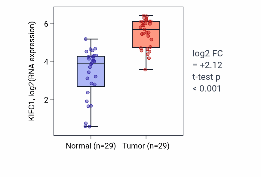 Tumor-vs-normal expression box plot for KIFC1 in HNSC.