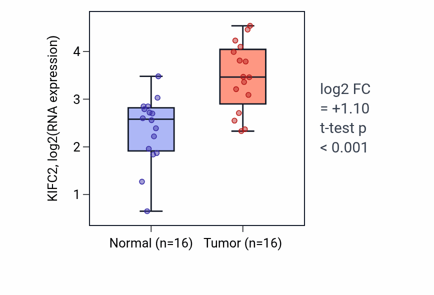 Tumor-vs-normal expression box plot for KIFC2 in HNSC.