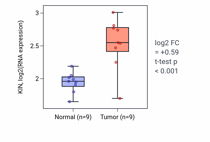 Tumor-vs-normal expression box plot for KIN in HNSC.