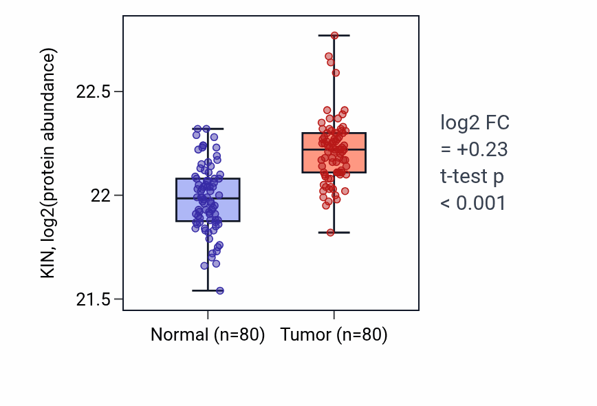 Tumor-vs-normal mass-spec protein box plot for KIN in CCRCC.