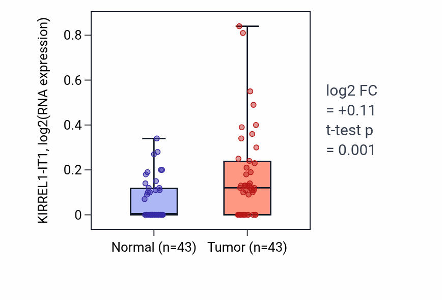 Tumor-vs-normal expression box plot for KIRREL1-IT1 in HNSC.