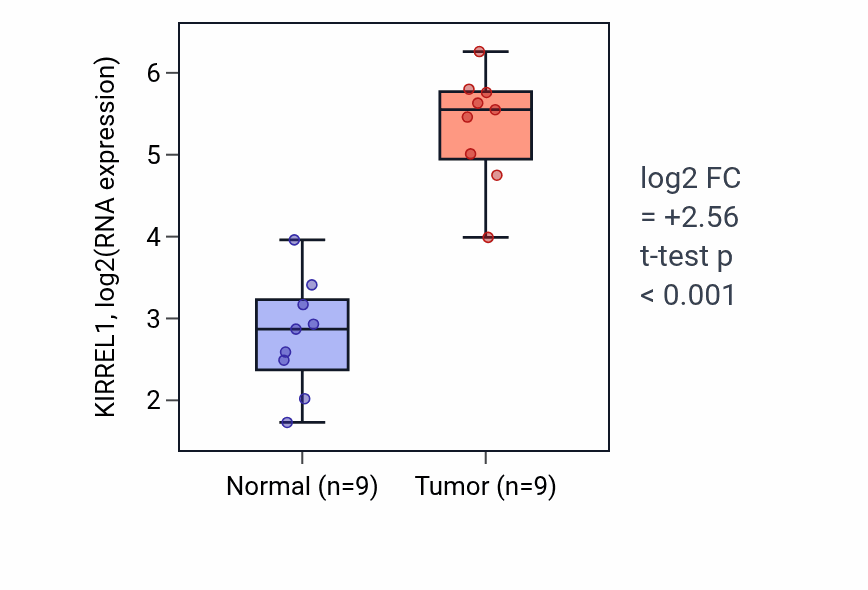 Tumor-vs-normal expression box plot for KIRREL1 in HNSC.