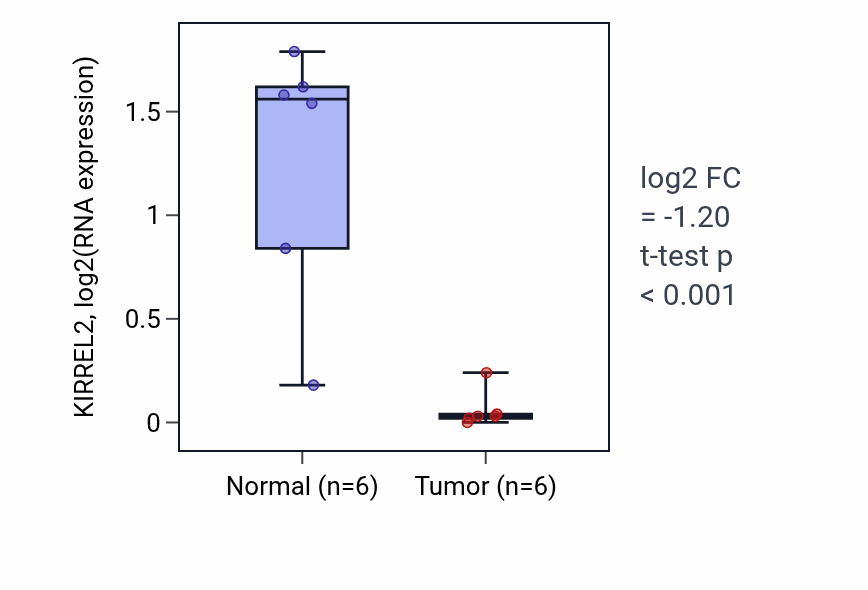 Tumor-vs-normal expression box plot for KIRREL2 in KIRC.