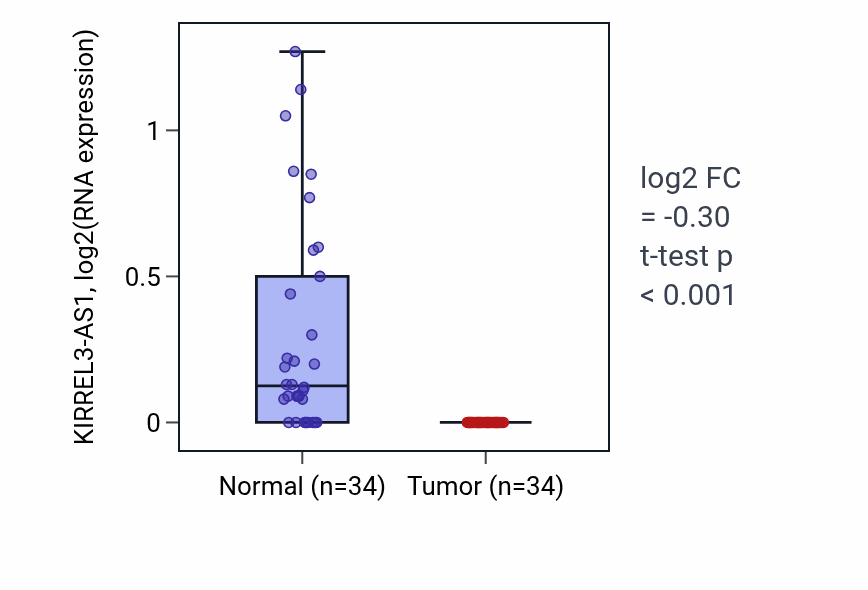 Tumor-vs-normal expression box plot for KIRREL3-AS1 in KIRC.
