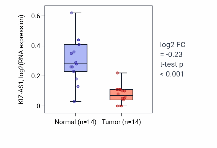 Tumor-vs-normal expression box plot for KIZ-AS1 in THCA.