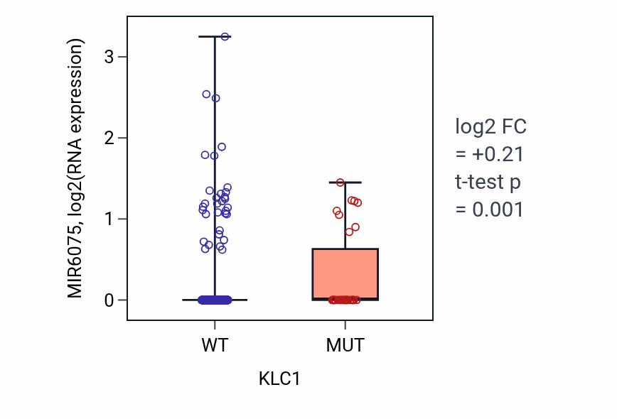 Box plot of MIR6075 in KLC1-low vs KLC1-high samples in UCEC.