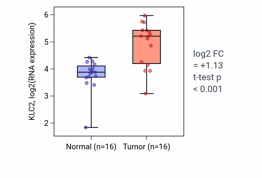 Tumor-vs-normal expression box plot for KLC2 in HNSC.