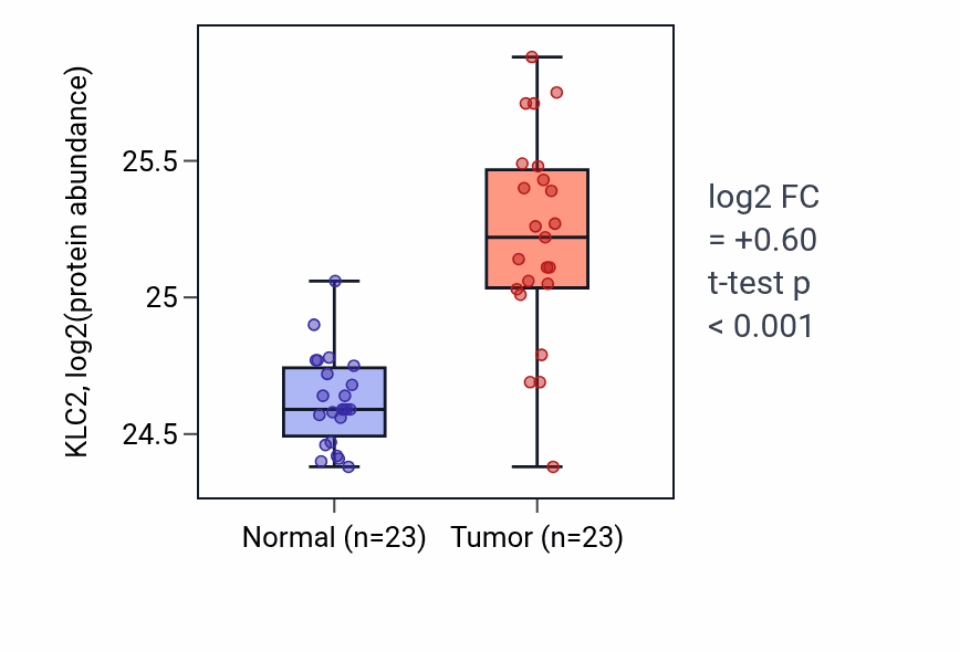 Tumor-vs-normal mass-spec protein box plot for KLC2 in HNSC.