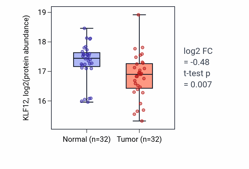 Tumor-vs-normal mass-spec protein box plot for KLF12 in LSCC.