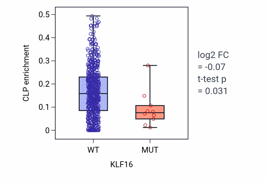 Box plot of CLP in KLF16-low vs KLF16-high samples in UCEC.