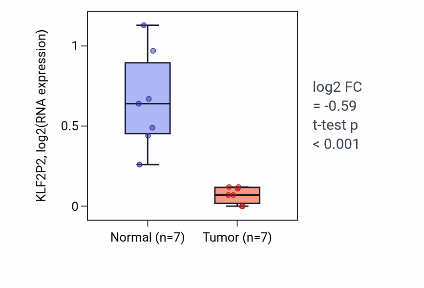 Tumor-vs-normal expression box plot for KLF2P2 in THCA.