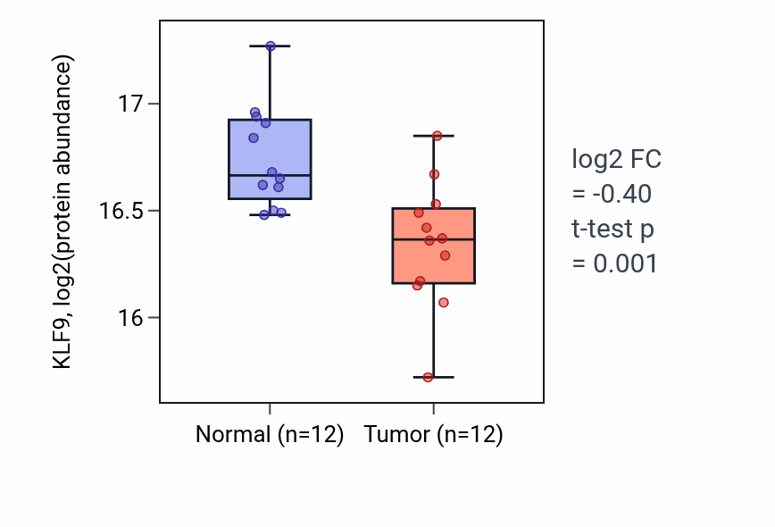 Tumor-vs-normal mass-spec protein box plot for KLF9 in LUAD.
