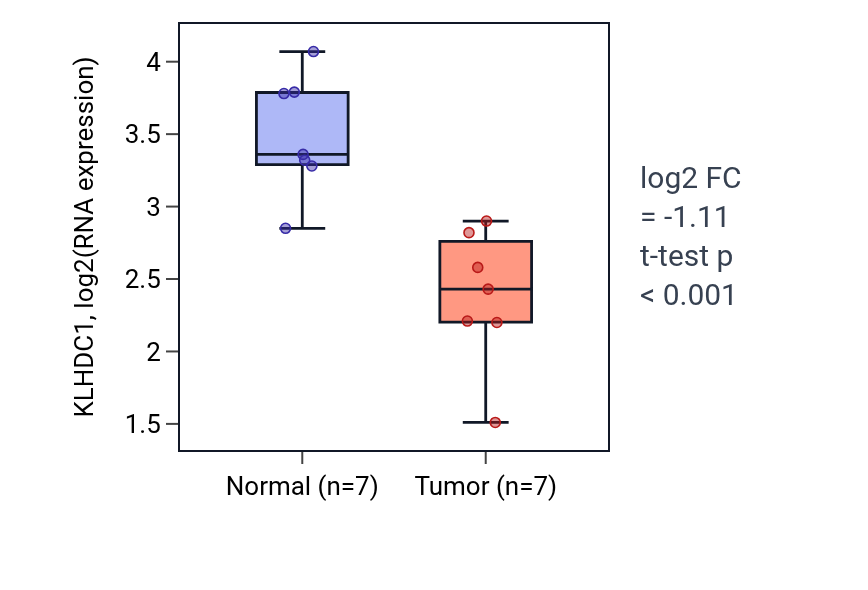 Tumor-vs-normal expression box plot for KLHDC1 in THCA.