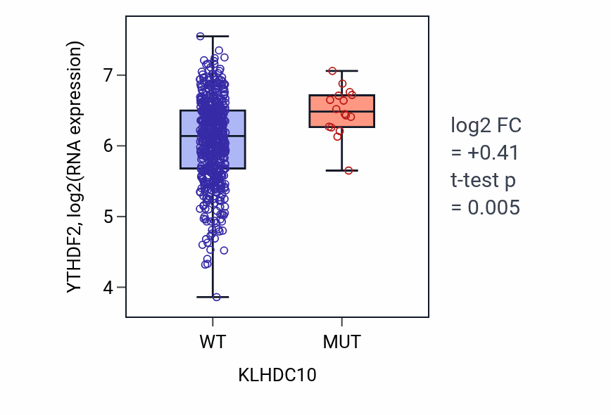 Box plot of YTHDF2 in KLHDC10-low vs KLHDC10-high samples in UCEC.