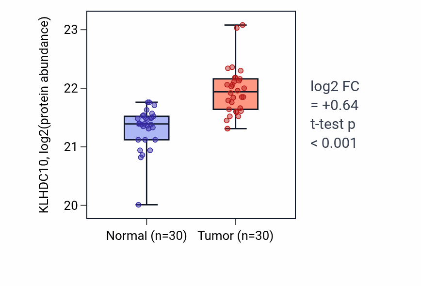 Tumor-vs-normal mass-spec protein box plot for KLHDC10 in LUAD.