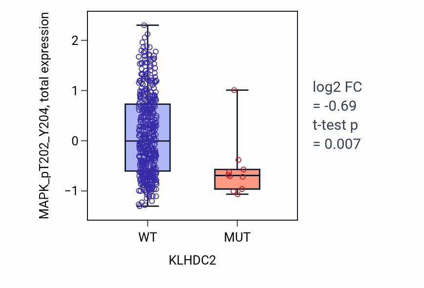 Box plot of MAPK_pT202_Y204 in KLHDC2-low vs KLHDC2-high samples in UCEC.