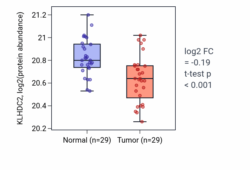 Tumor-vs-normal mass-spec protein box plot for KLHDC2 in CCRCC.