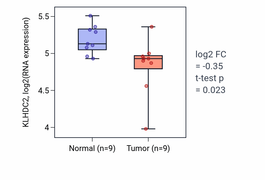 Tumor-vs-normal expression box plot for KLHDC2 RNA in THCA.