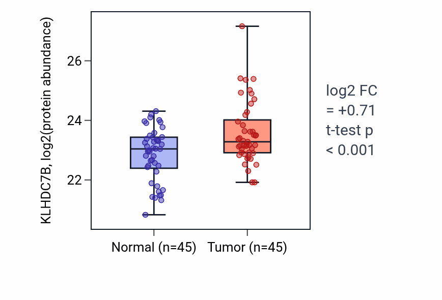 Tumor-vs-normal mass-spec protein box plot for KLHDC7B in HNSC.