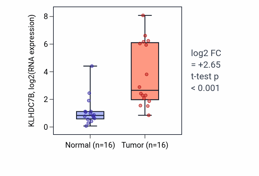 Tumor-vs-normal expression box plot for KLHDC7B RNA in HNSC.