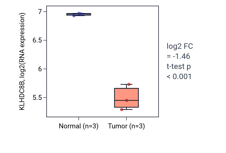 Tumor-vs-normal expression box plot for KLHDC8B in THCA.